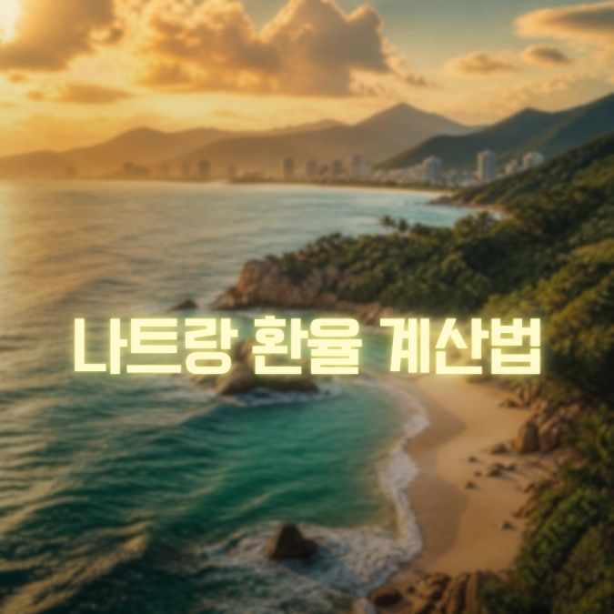 나트랑 환율 계산 메인